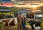 TKDK 101-1 Süt Üreten Tarımsal İşletmeler