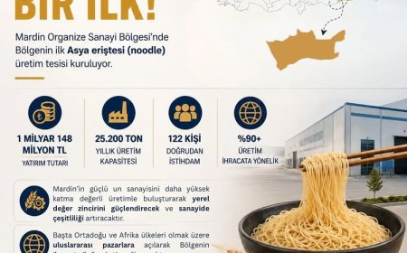Mardin OSB’de Bölgenin ilk Asya Eriştesi (Noodle) Üretim Tesisi Kuruluyor