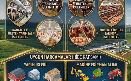 TKDK Tarımsal İşletmelerin Fiziki Varlıklarına Yönelik Yatırımlar 12.Çağrı İlanı