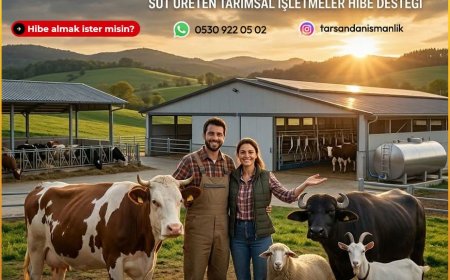 TKDK 101-1 Süt Üreten Tarımsal İşletmeler